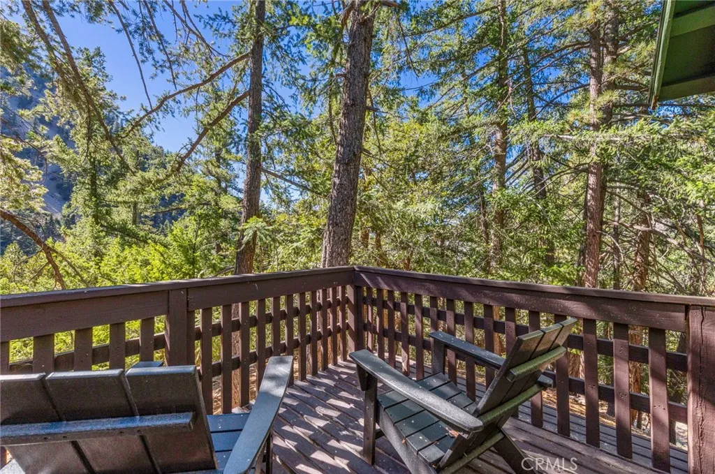 34 Manker Flats, Mt Baldy, California 91759 home-pic-44